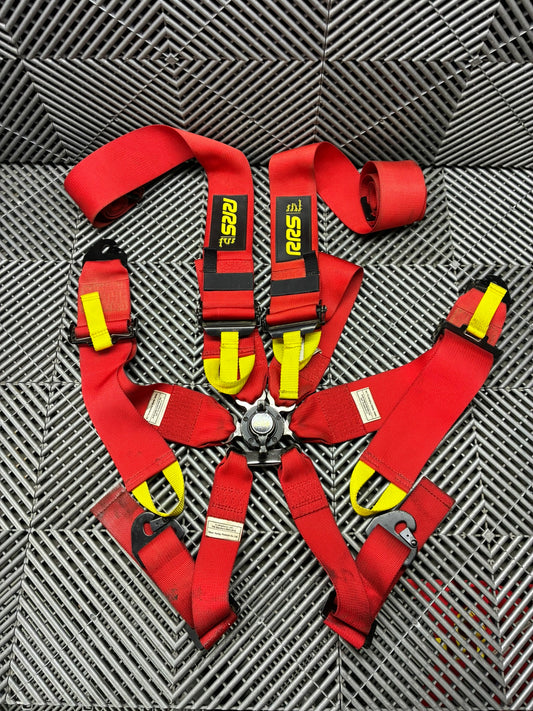 Used. 6 point RRS Racing Harness. Homo-2023