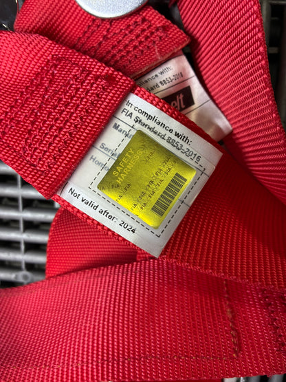 Used. 6 point Sabelt Racing Harness.